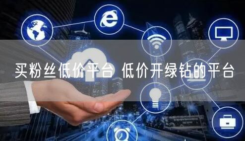 买粉丝低价平台 低价开绿钻的平台