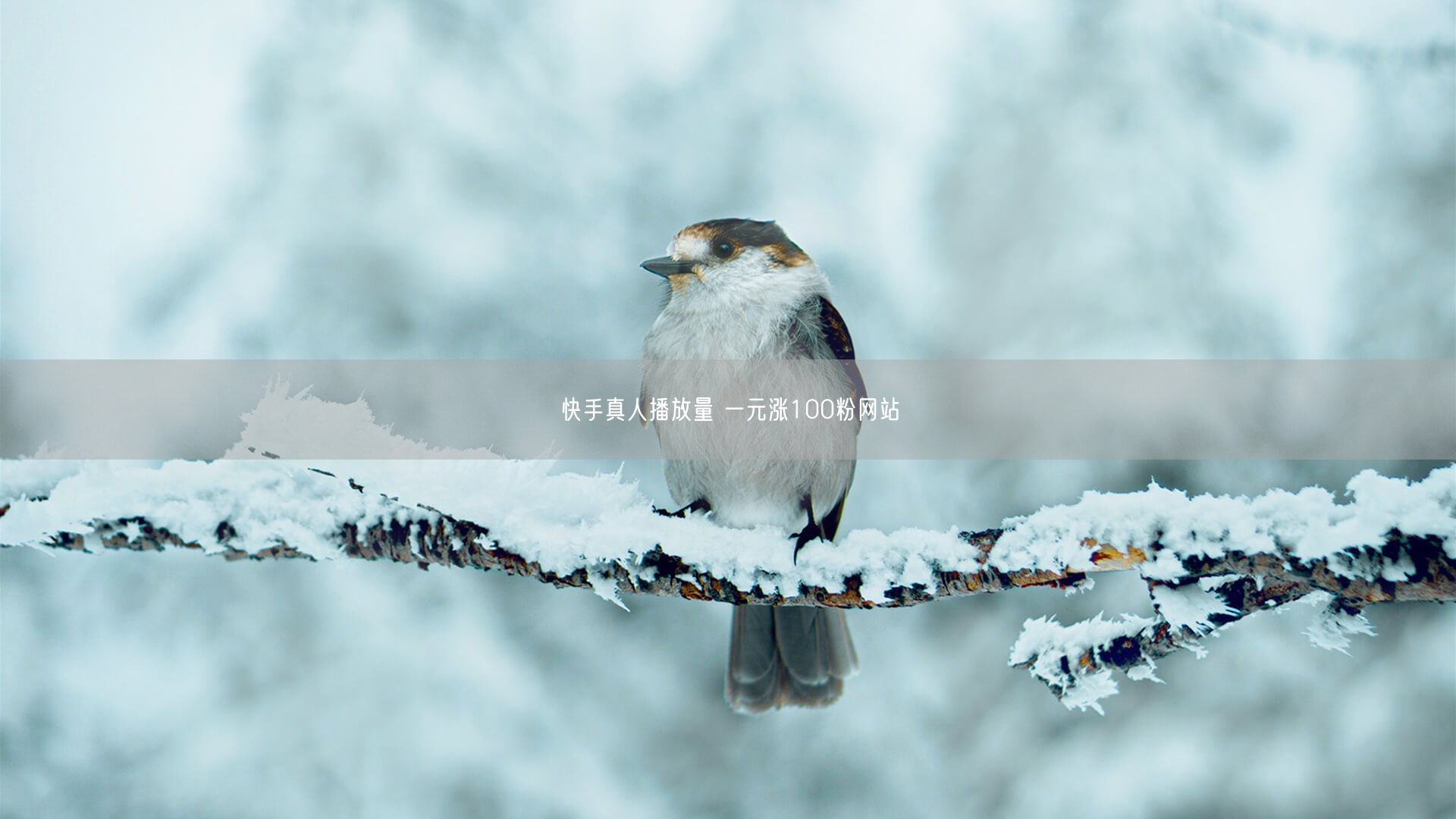 快手真人播放量 一元涨100粉网站
