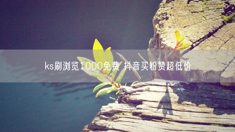 ks刷浏览1000免费 抖音买粉赞超低价