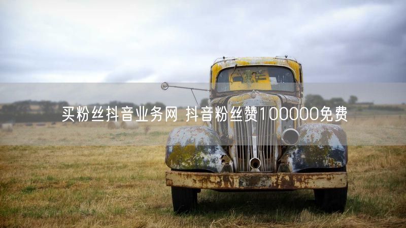 买粉丝抖音业务网 抖音粉丝赞100000免费