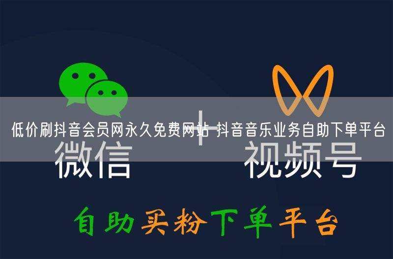 低价刷抖音会员网永久免费网站 抖音音乐业务自助下单平台