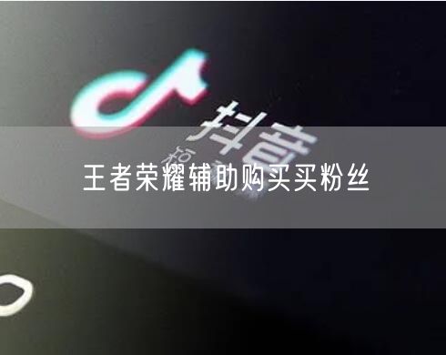 王者荣耀辅助购买买粉丝