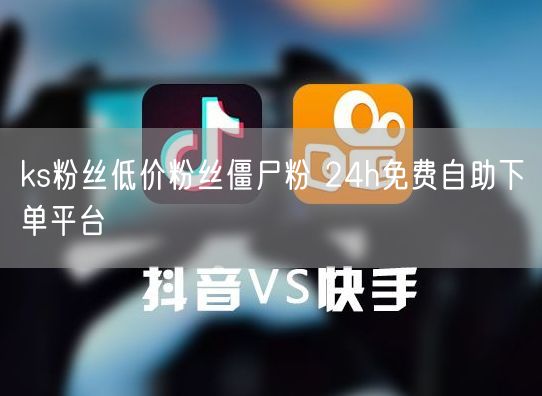 ks粉丝低价粉丝僵尸粉 24h免费自助下单平台