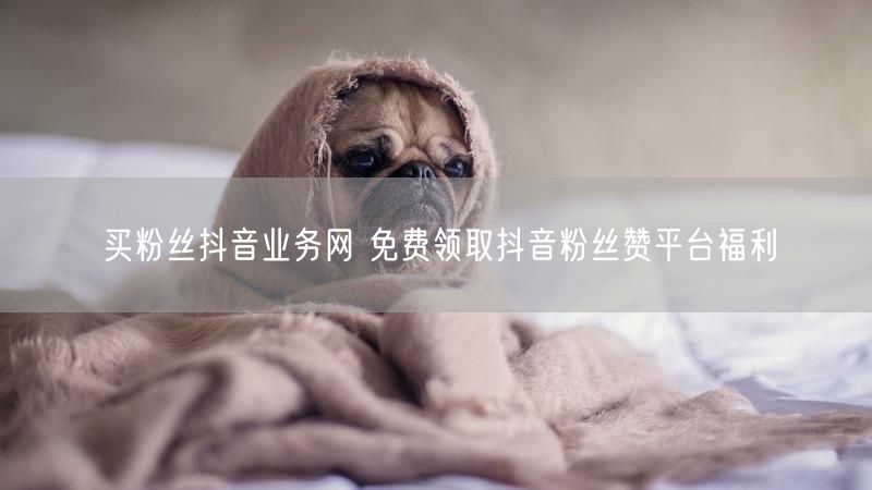 买粉丝抖音业务网 免费领取抖音粉丝赞平台福利