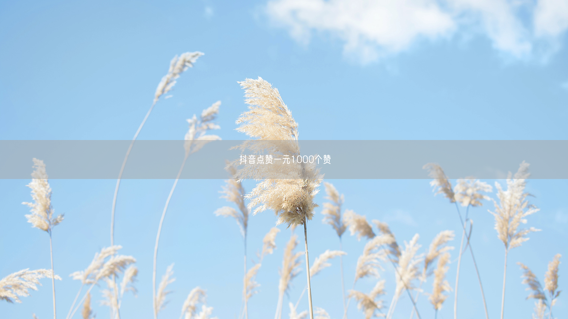 抖音点赞一元1000个赞