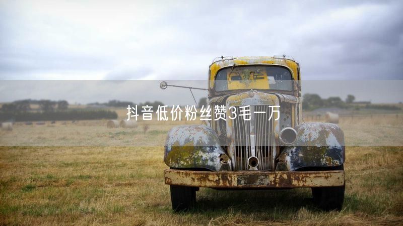 抖音低价粉丝赞3毛一万