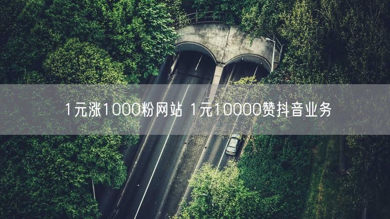 1元涨1000粉网站 1元10000赞抖音业务