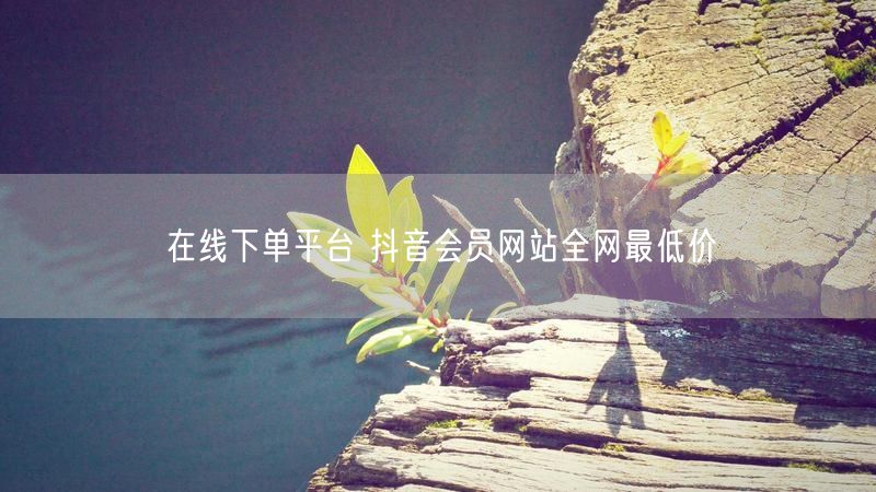 在线下单平台 抖音会员网站全网最低价