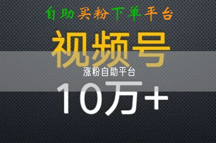 涨粉自助平台