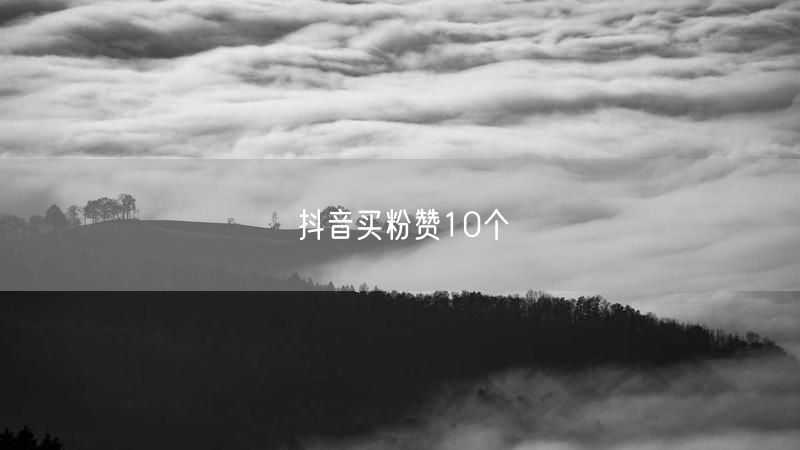 抖音买粉赞10个