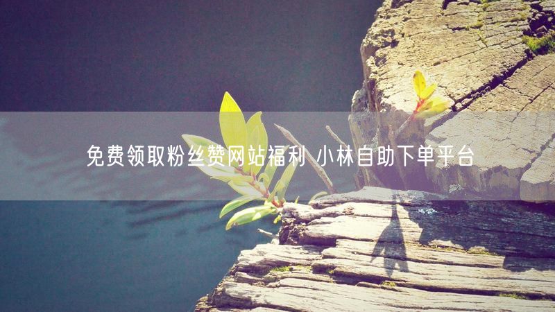 免费领取粉丝赞网站福利 小林自助下单平台