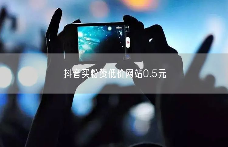 抖音买粉赞低价网站0.5元