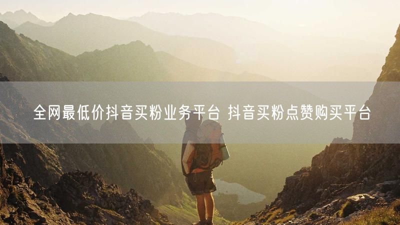 全网最低价抖音买粉业务平台 抖音买粉点赞购买平台