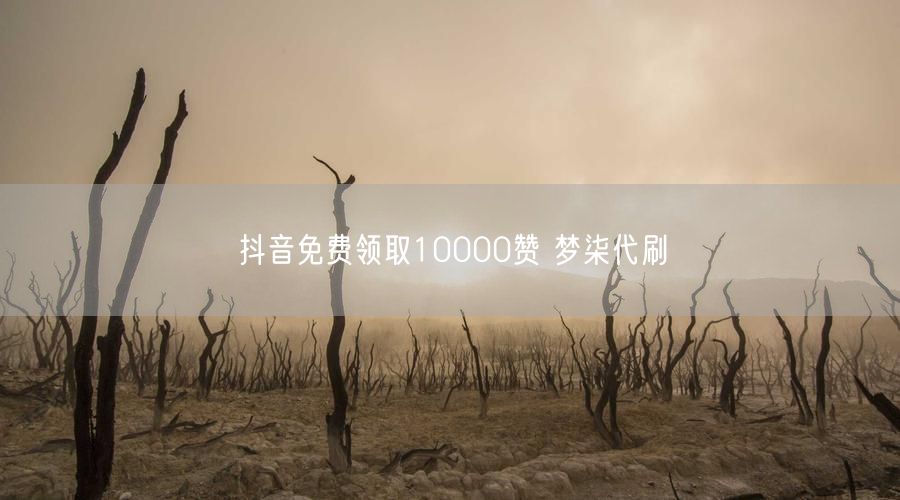 抖音免费领取10000赞 梦柒代刷