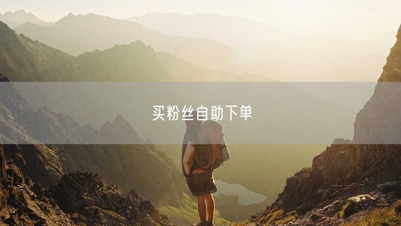 买粉丝自助下单