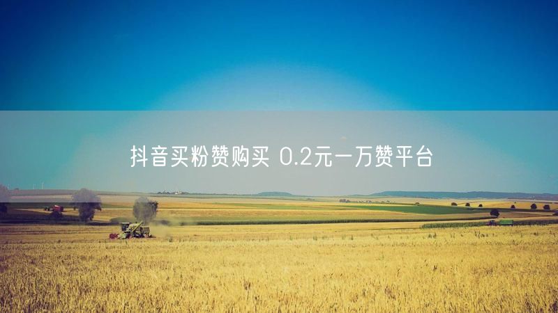 抖音买粉赞购买 0.2元一万赞平台
