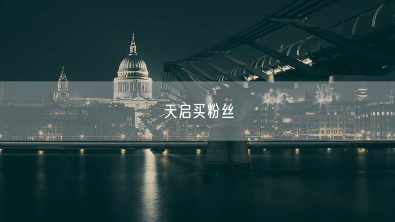 天启买粉丝