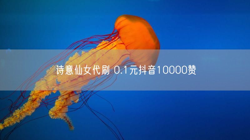 诗意仙女代刷 0.1元抖音10000赞