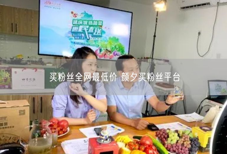 买粉丝全网最低价 颜夕买粉丝平台