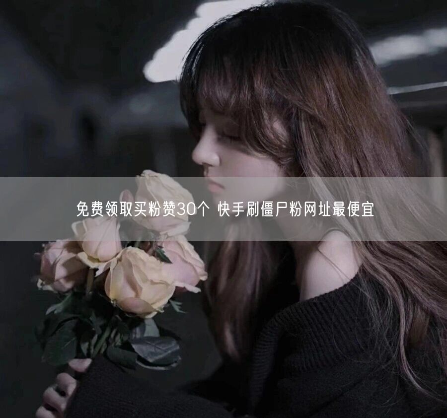 免费领取买粉赞30个 快手刷僵尸粉网址最便宜