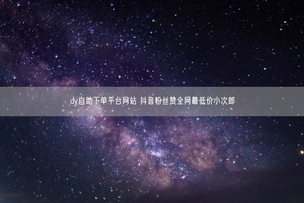 dy自助下单平台网站 抖音粉丝赞全网最低价小次郎
