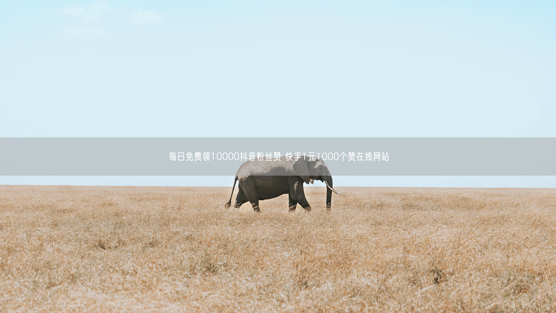 每日免费领10000抖音粉丝赞 快手1元1000个赞在线网站