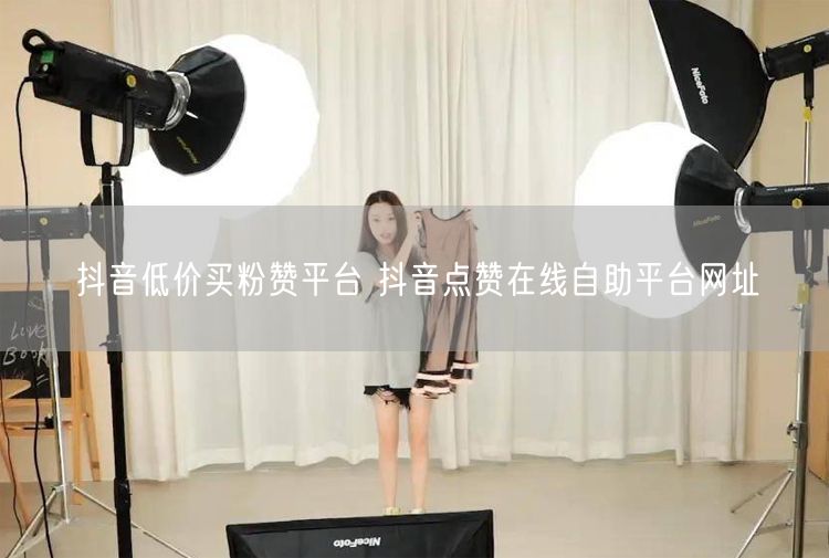 抖音低价买粉赞平台 抖音点赞在线自助平台网址