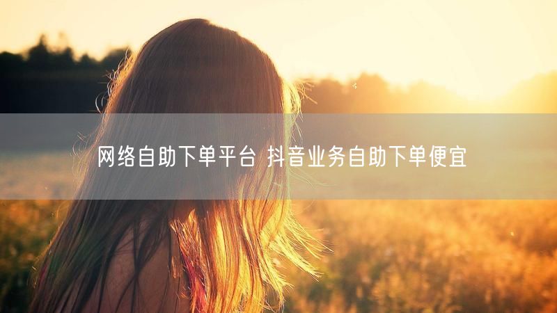 网络自助下单平台 抖音业务自助下单便宜