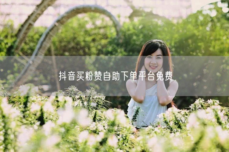 抖音买粉赞自助下单平台免费