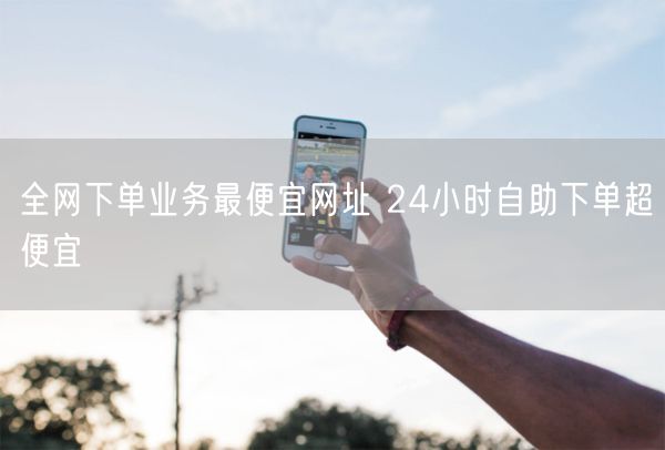 全网下单业务最便宜网址 24小时自助下单超便宜