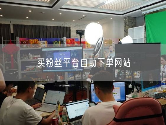 买粉丝平台自助下单网站