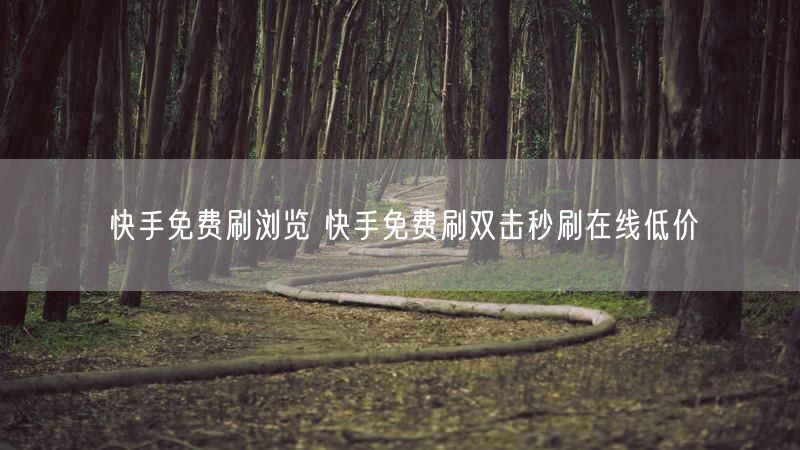 快手免费刷浏览 快手免费刷双击秒刷在线低价