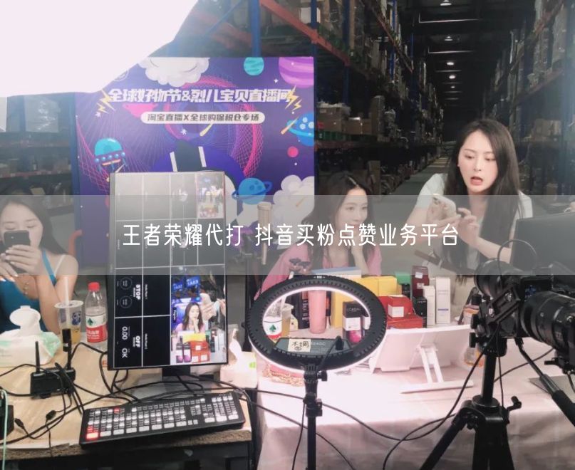 王者荣耀代打 抖音买粉点赞业务平台