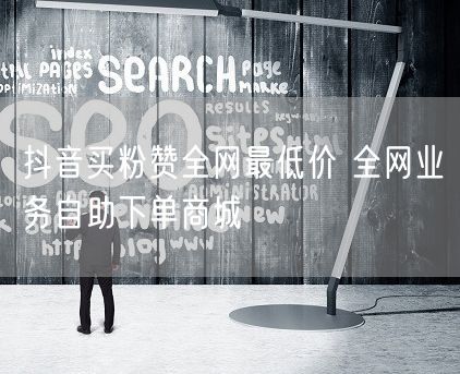 抖音买粉赞全网最低价 全网业务自助下单商城