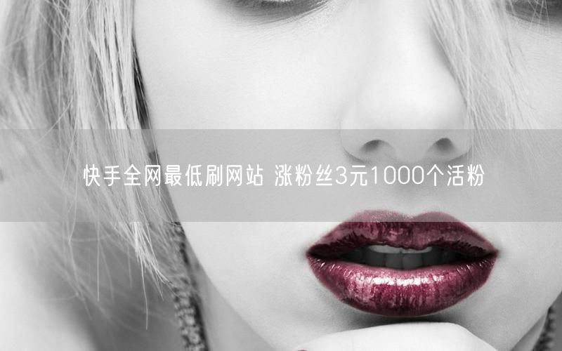 快手全网最低刷网站 涨粉丝3元1000个活粉