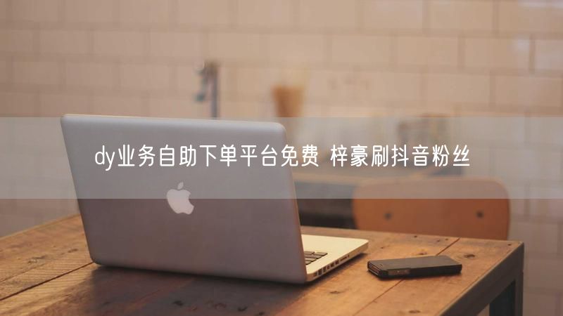 dy业务自助下单平台免费 梓豪刷抖音粉丝