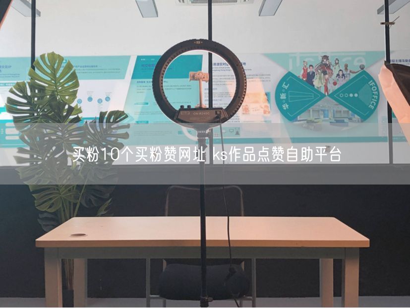 买粉10个买粉赞网址 ks作品点赞自助平台