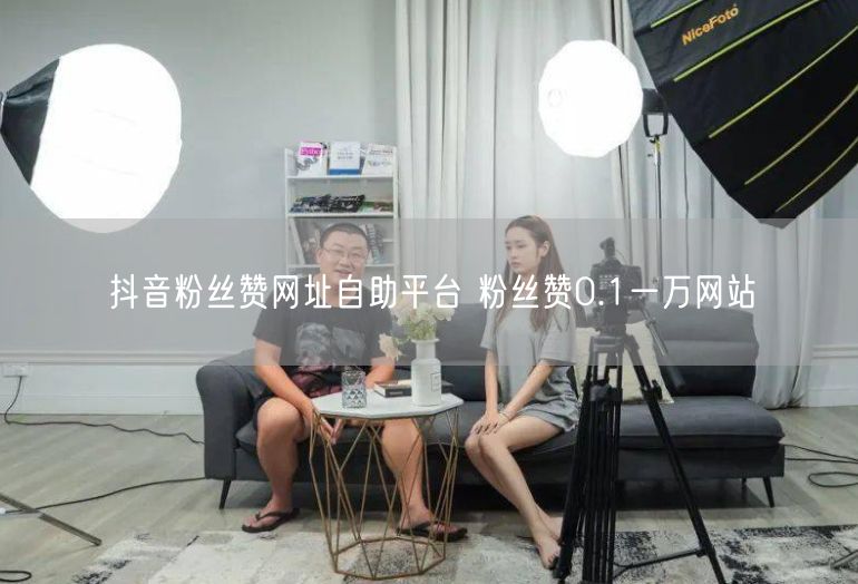 抖音粉丝赞网址自助平台 粉丝赞0.1一万网站