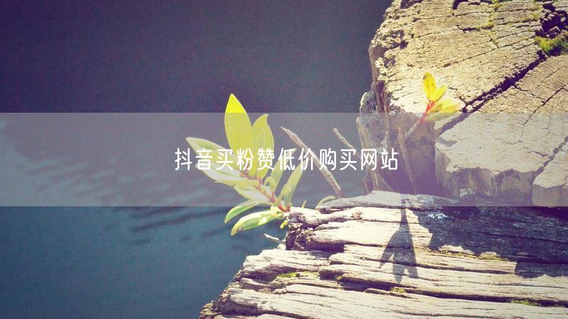 抖音买粉赞低价购买网站