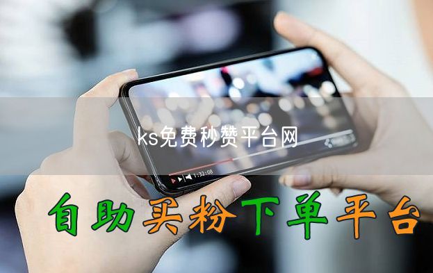ks免费秒赞平台网