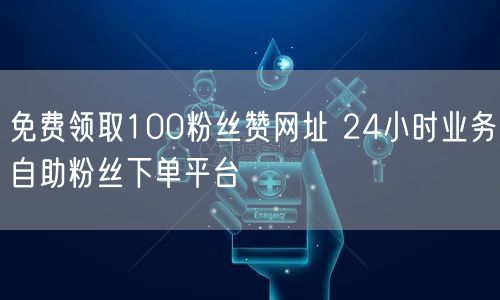免费领取100粉丝赞网址 24小时业务自助粉丝下单平台