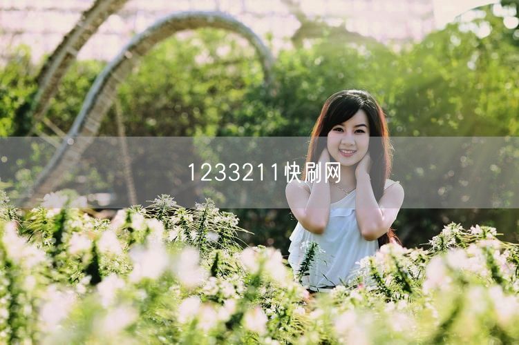 1233211快刷网