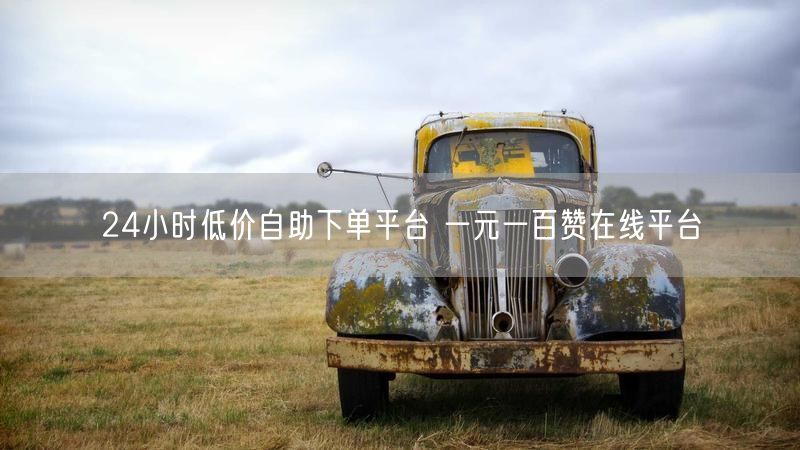 24小时低价自助下单平台 一元一百赞在线平台