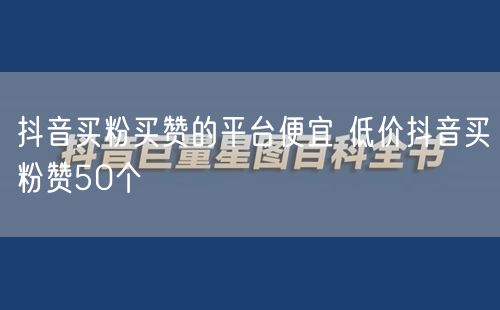 抖音买粉买赞的平台便宜 低价抖音买粉赞50个