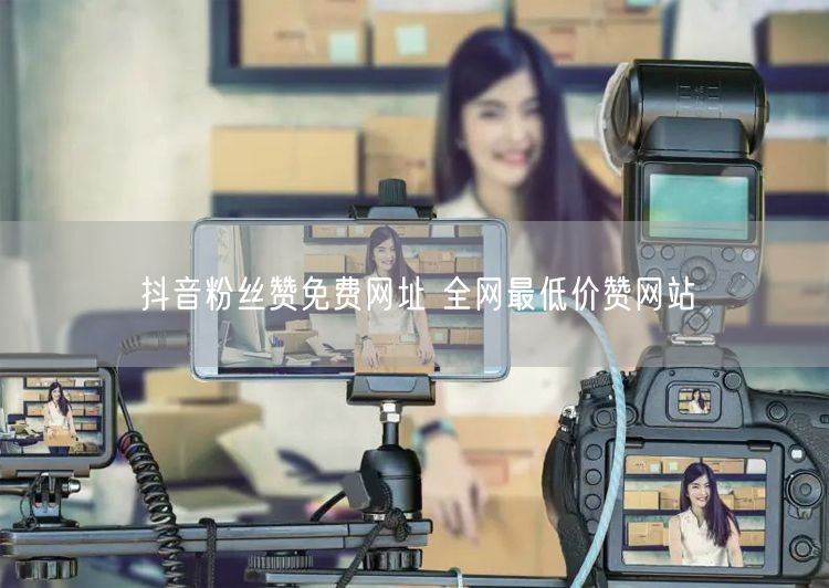 抖音粉丝赞免费网址 全网最低价赞网站