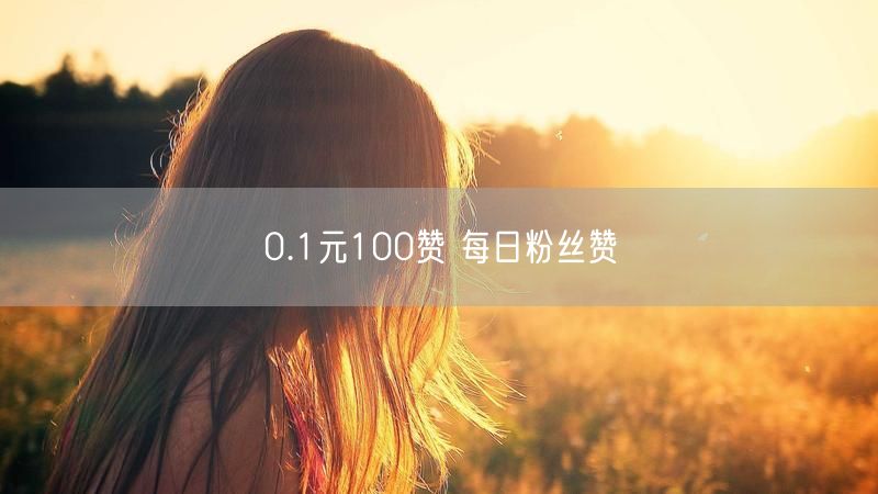0.1元100赞 每日粉丝赞