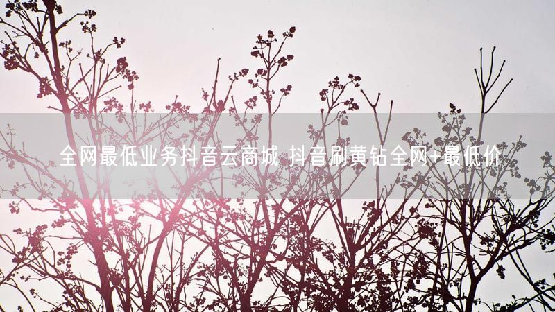全网最低业务抖音云商城 抖音刷黄钻全网+最低价