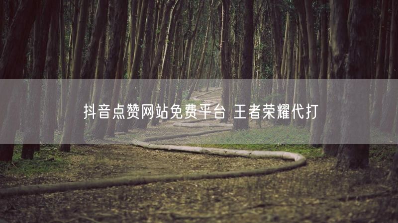 抖音点赞网站免费平台 王者荣耀代打