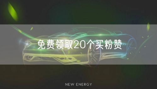 免费领取20个买粉赞