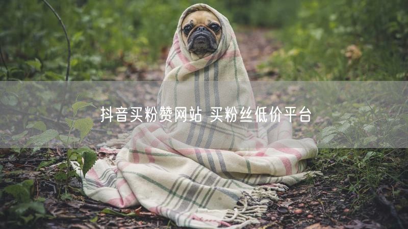 抖音买粉赞网站 买粉丝低价平台